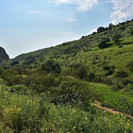 Mul Kinneret Livnim Extérieur photo