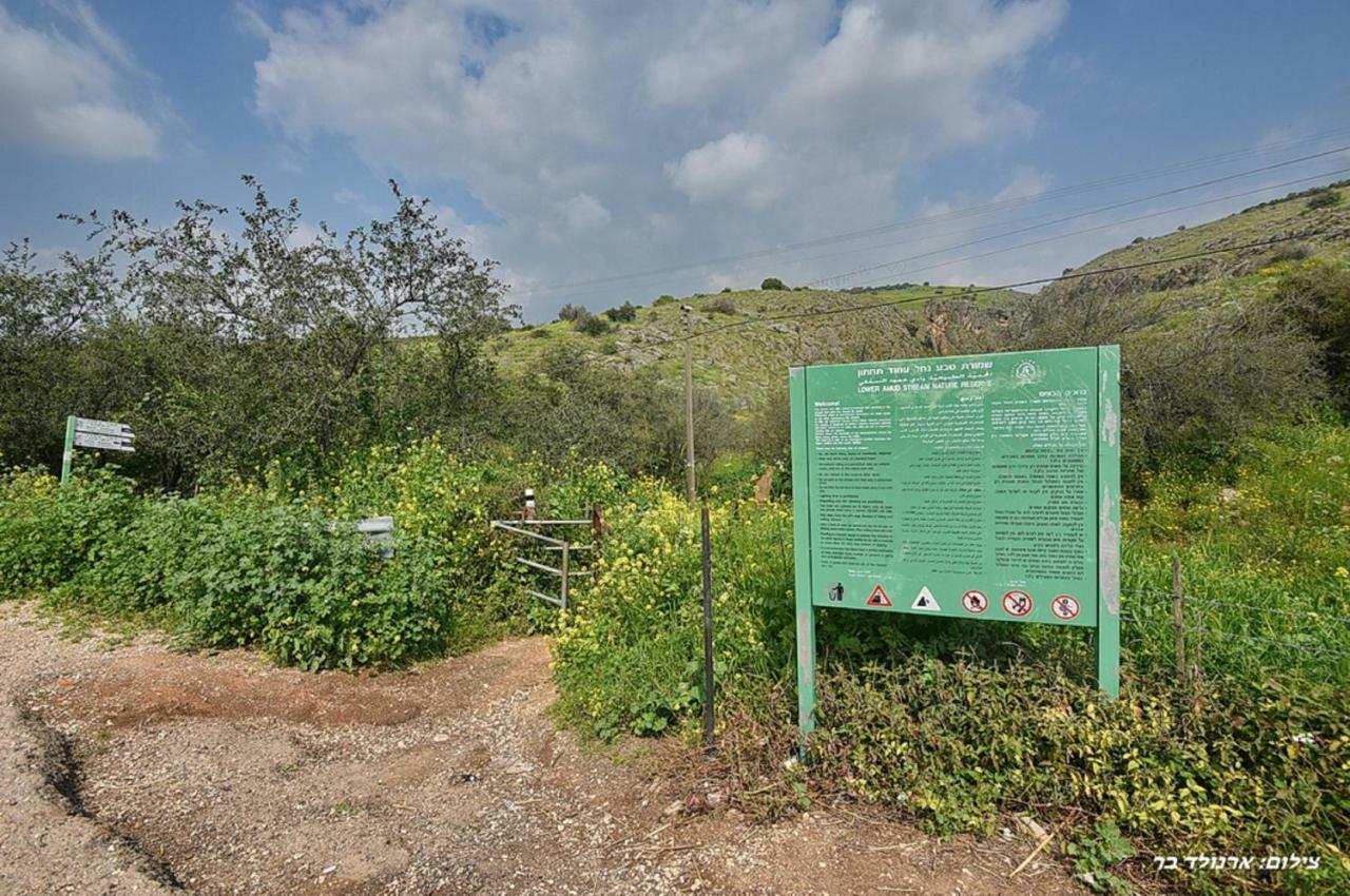 Mul Kinneret Livnim Extérieur photo