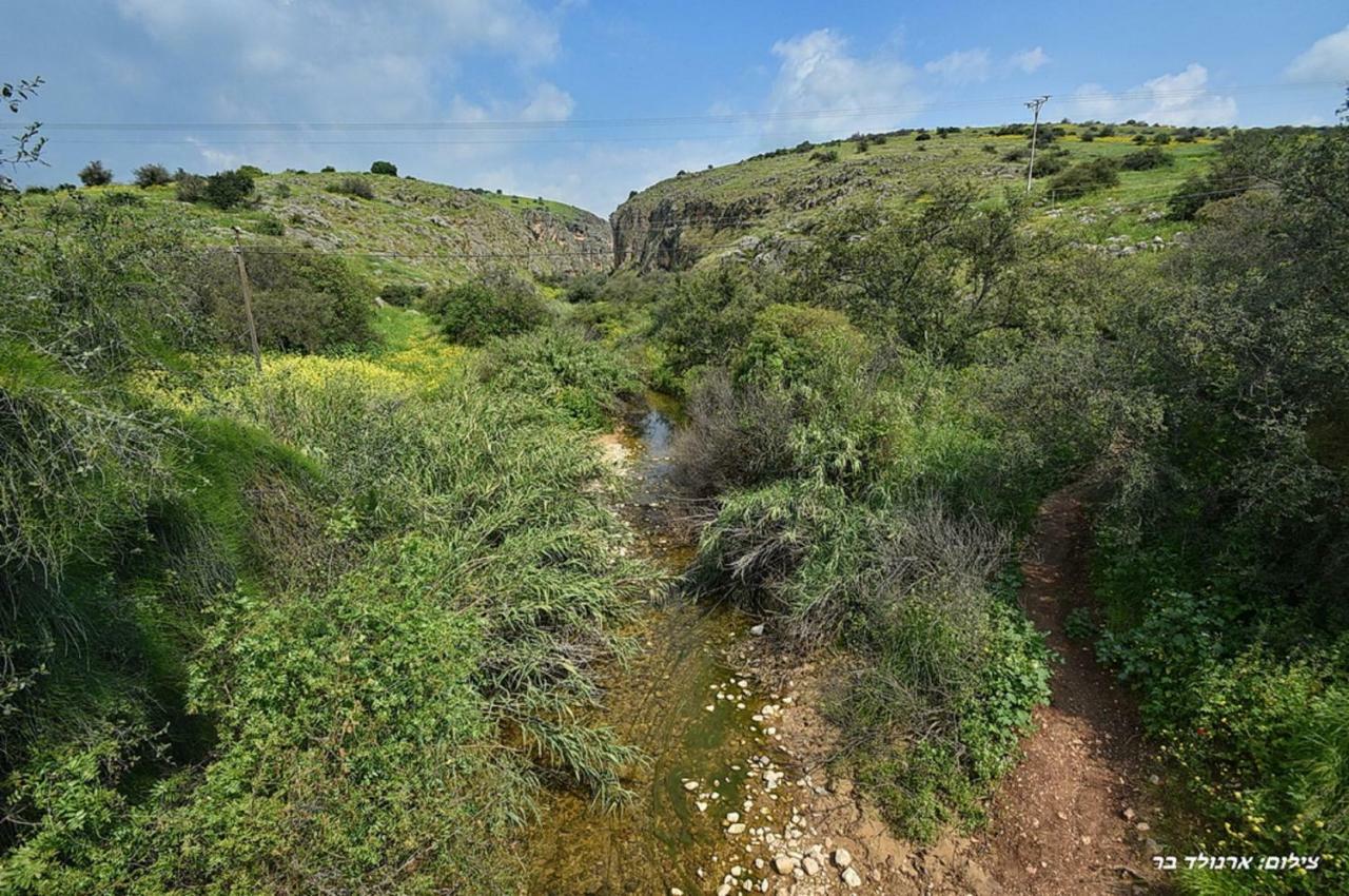 Mul Kinneret Livnim Extérieur photo