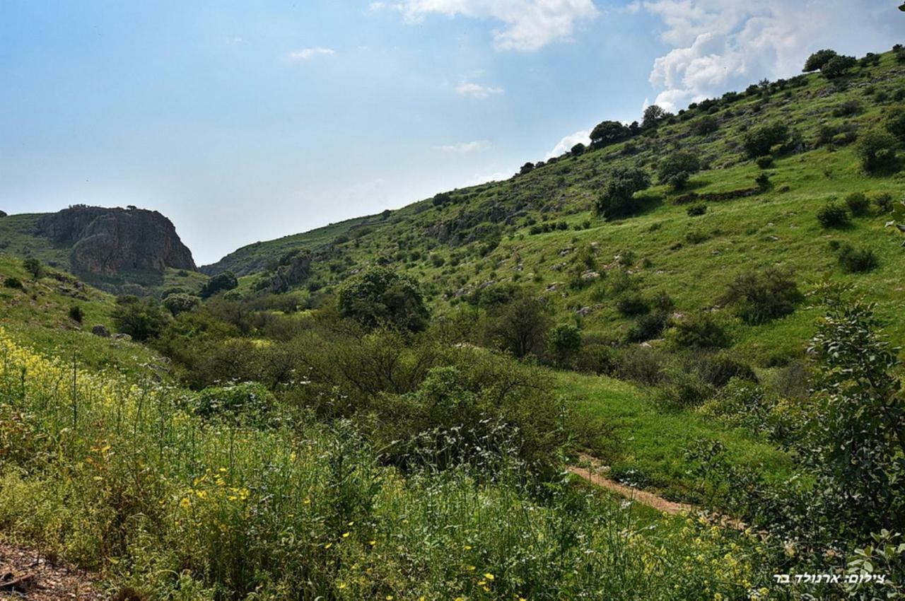 Mul Kinneret Livnim Extérieur photo