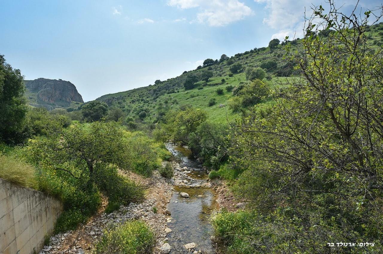 Mul Kinneret Livnim Extérieur photo